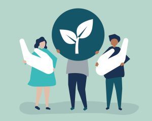 sustainability vector image